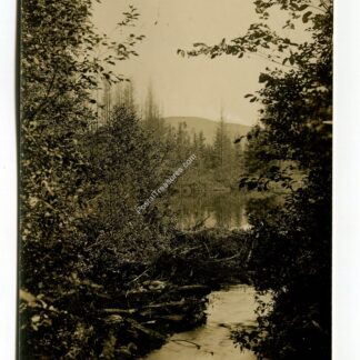 Beaver Dam Kingfield Maine