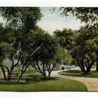 busch-garden-pasadena-california-4115