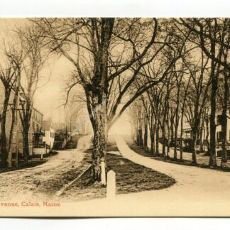 calais-avenue-calais-maine-4332