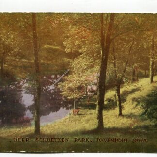 deer-schuetzen-park-davenport-iowa-4136
