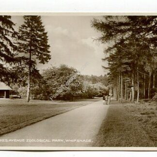 dukes-avenue-zoological-park-whipsnade-4400