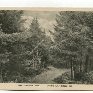grassy-road-orr-s-landing-maine-4340