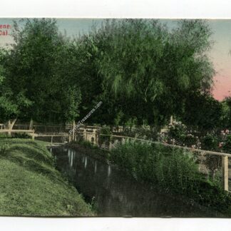 home-scene-visalia-california-4135