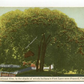 old-constitutional-elm-in-the-shade-of-which-indiana-s-first-laws-were-framed-corydon-indiana-4169