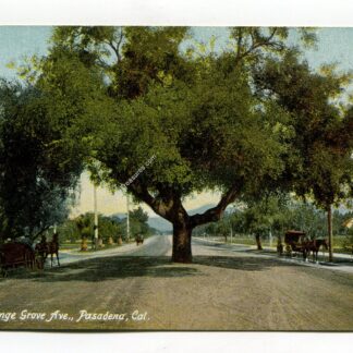 orange-grove-ave-pasadena-california-4116