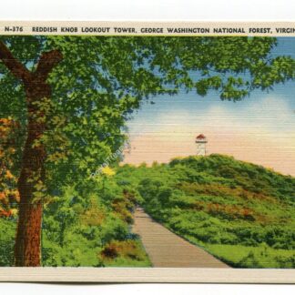 reddish-knob-lookout-tower-george-washington-national-forest-virginia-4367