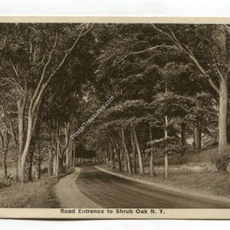 road-entrance-to-shrub-oak-new-york-4283