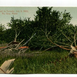ruin-caused-by-tornado-july-8-1909-no-gray-maine-4328