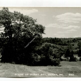 scene-of-surry-bay-surry-maine-4338