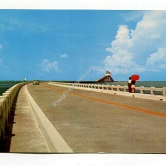sunshine-skyway-connecting-st-petersburg-with-manatee-and-sarasota-counties-florida-4214