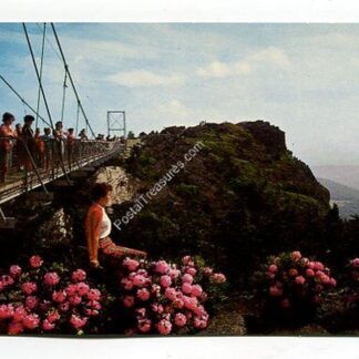 swinging-bridge-on-grandfather-mountain-western-north-carolina-4204