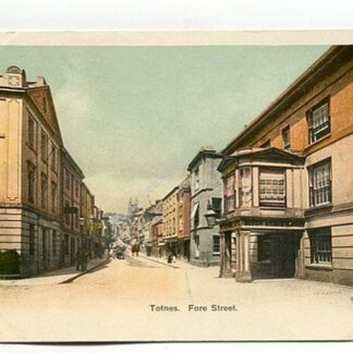 totnes-fore-street-4412