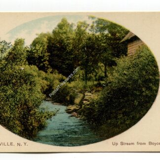 up-stream-from-boyce-s-bridge-masonville-new-york-4271