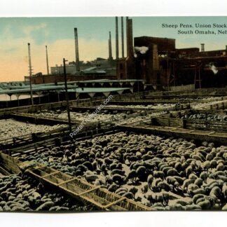 sheep-pens-union-stock-yards-south-omaha-nebraska-4428
