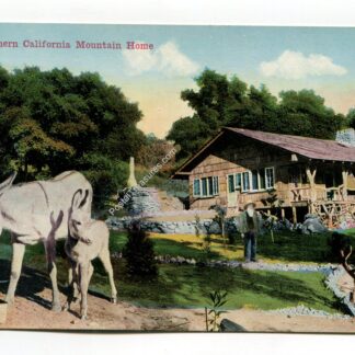 Southern California Mountain Home