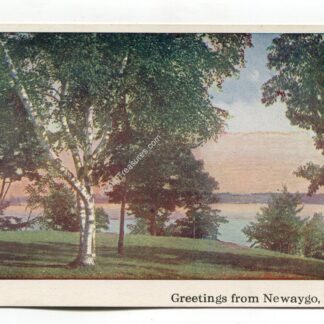 greetings-from-newaygo-michigan-4593