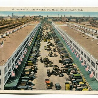 new-south-water-street-market-chicago-illinois-4666