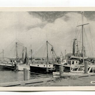 point-judith-pond-galilee-rhode-island-4633