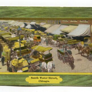 south-water-street-chicago-illinois-4671