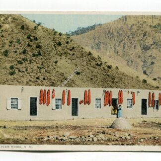 Mexican Home New Mexico