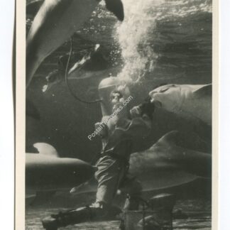 Marine Studios Marineland Florida