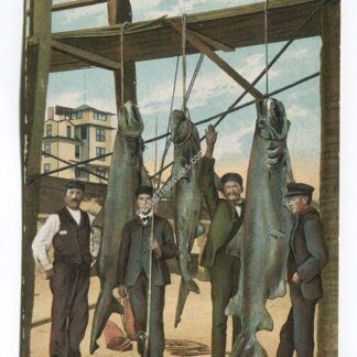 Morning Catch Seabreeze Florida