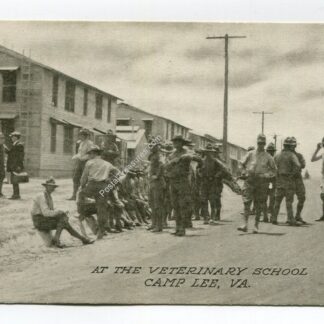 Veterinary School Camp Lee Virginia