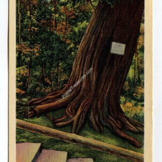 Natural Bridge Virginia