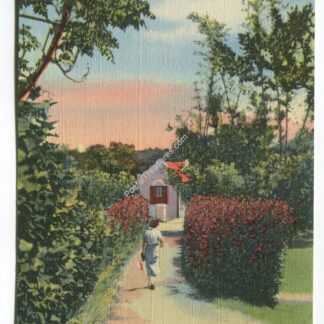Cottage Pathway Bermuda