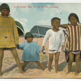 Summer Day Arctic Alaska