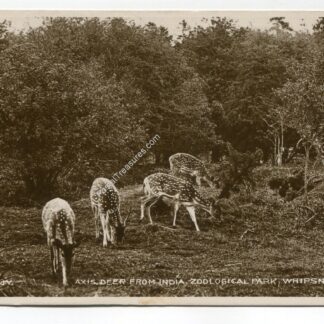 India Zoological Park Whipsnade
