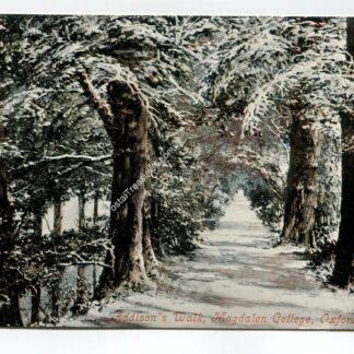 Addisons Walk Magdalen College