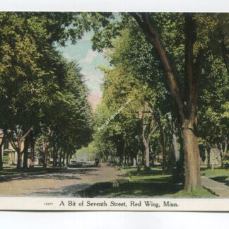Seventh Street Red Wing