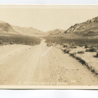 Nevada Desert Road