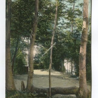 Point Defiance Park Tacoma