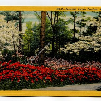 Azalea Gardens Norfolk Virginia