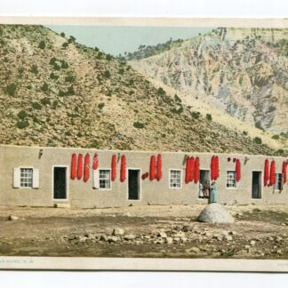 American Home New Mexico